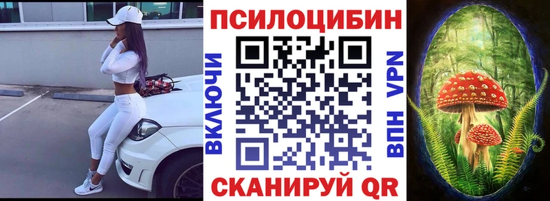 Псилоцибиновые грибы Cubensis  Куртамыш 